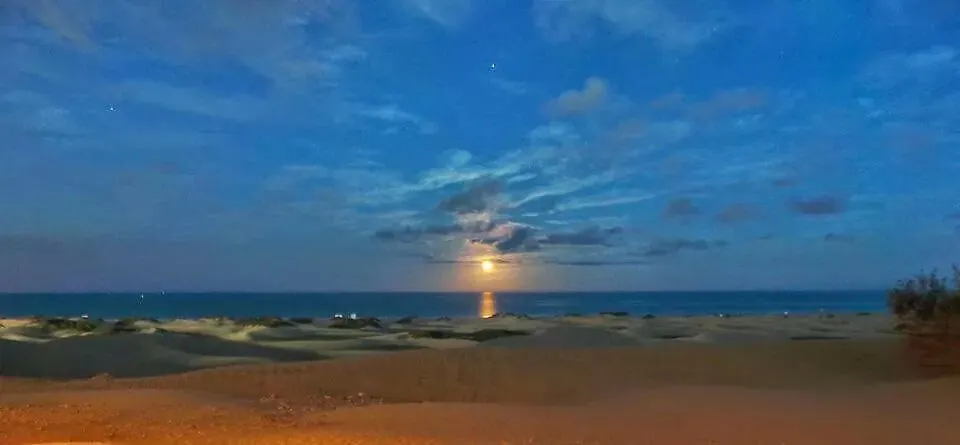 Maspalomas Dunes Playa del Ingles  Playa del Ingles (Gran Canaria)