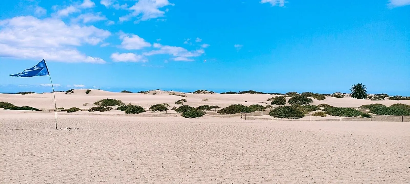 Apartment Maspalomas Dunes Playa del Ingles